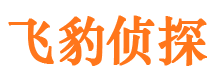 泾阳侦探